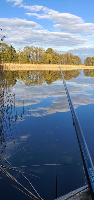 Wynajmę dom ze światłowodem na okres jesienno- zimowy . Lubuskie