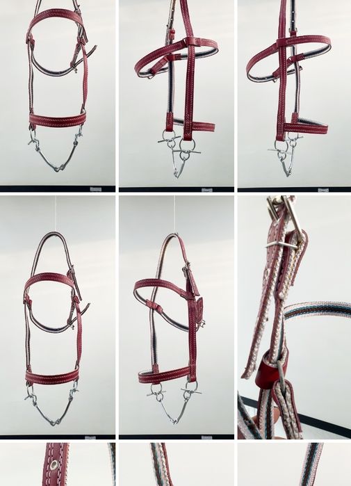 Чора та червона уздечка