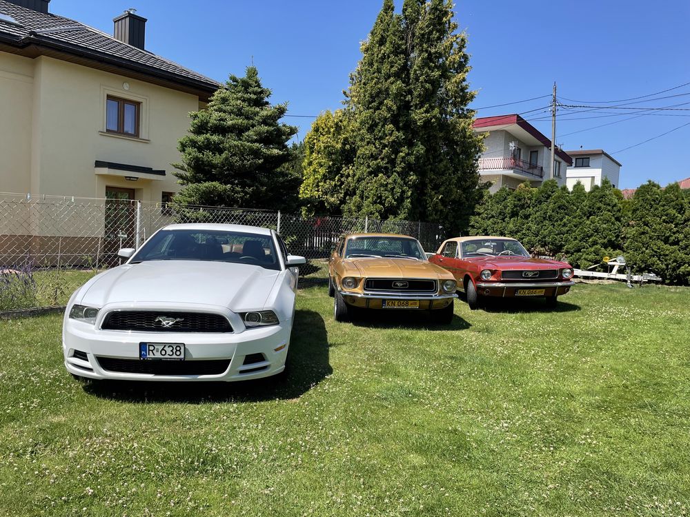 Ford Mustang na ślub, wynajem Nowy Sącz, Gorlice, Limanowa/VIPLimo.pl