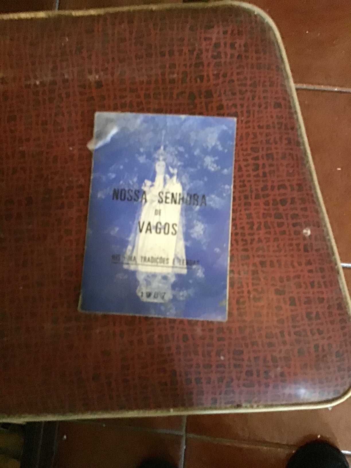 livro nossa senhora de vagos