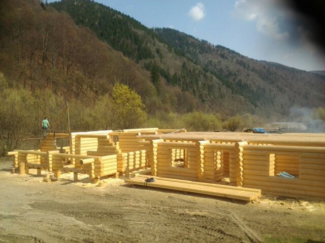 Деревяні будинки і бані із дикого зрубу