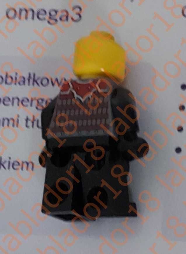 Ludzik z  Lego 11