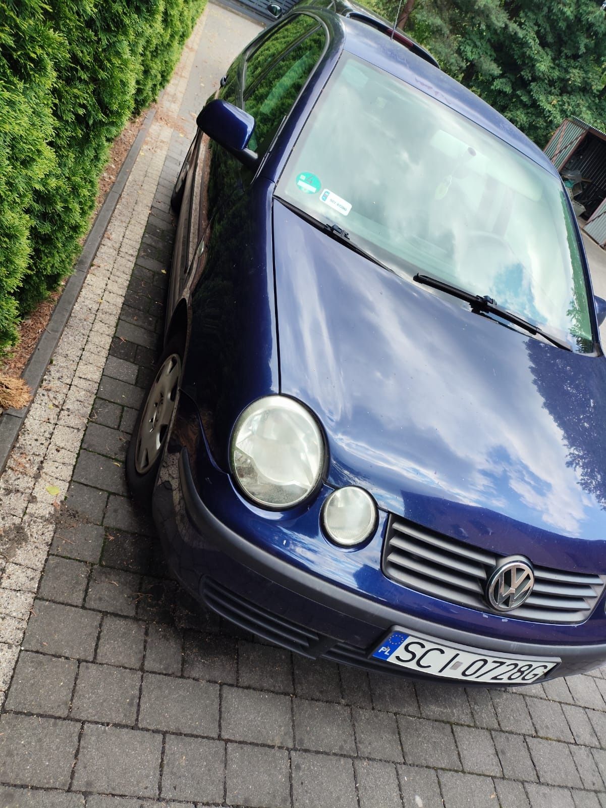 Volkswagen Polo 1.2 benzyna