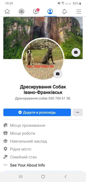 Професійне Дресирування собак!!!