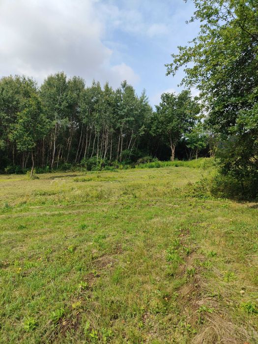 Działka 33 ary - Orzechówka