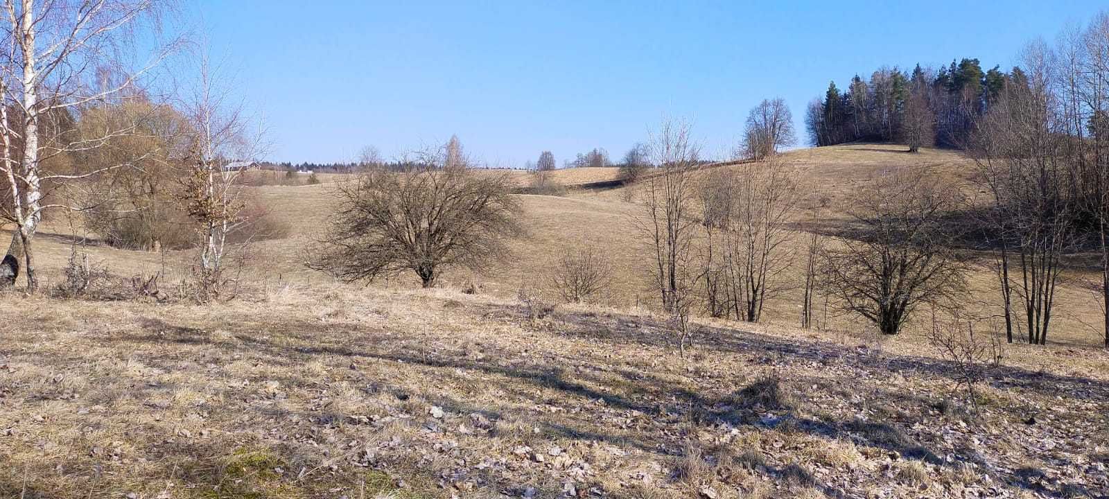 Działki blisko jeziora Rospuda - Huta gm Filipów