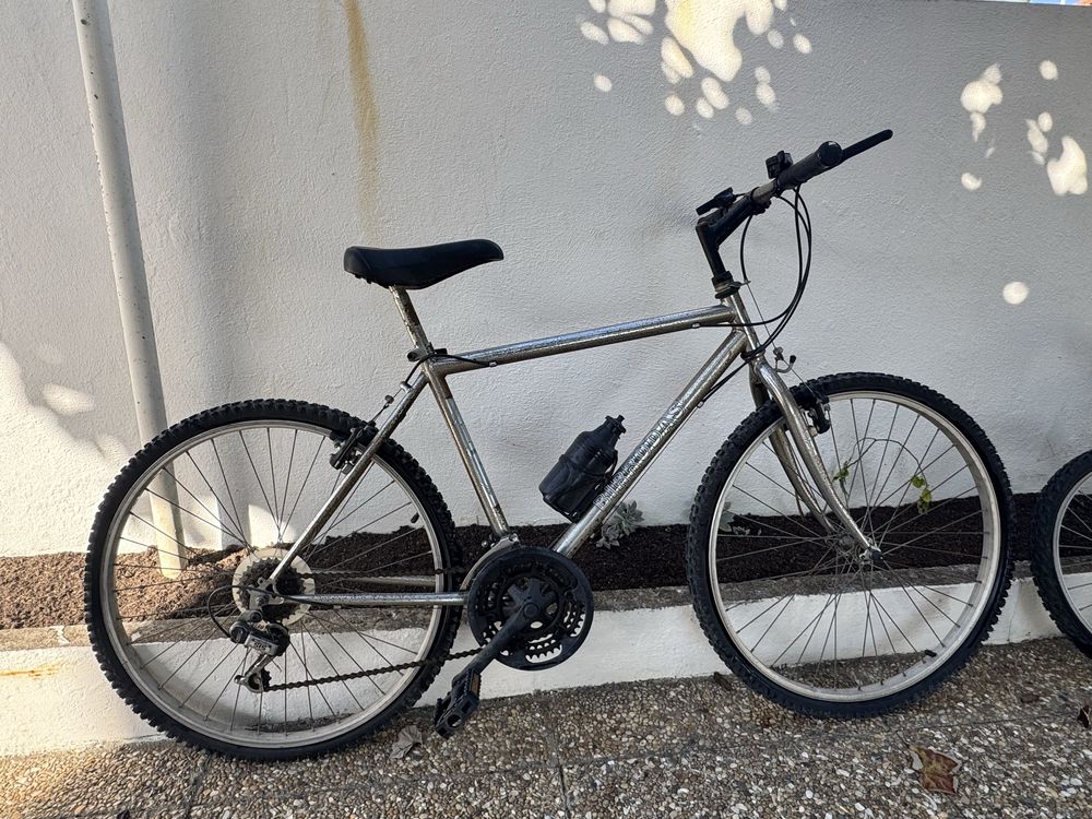 Bicicleta adulto