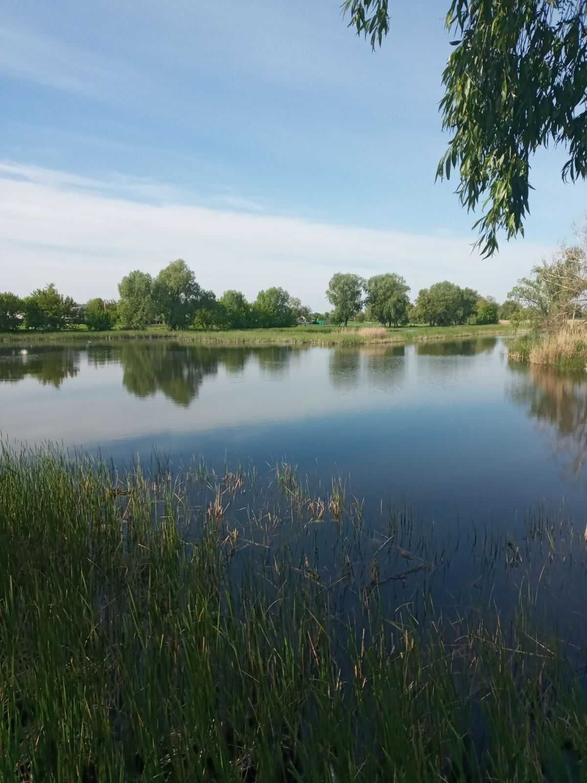 Оренда земельної ділянки водного фонду площа 5,0162 га, Черкаська обл.