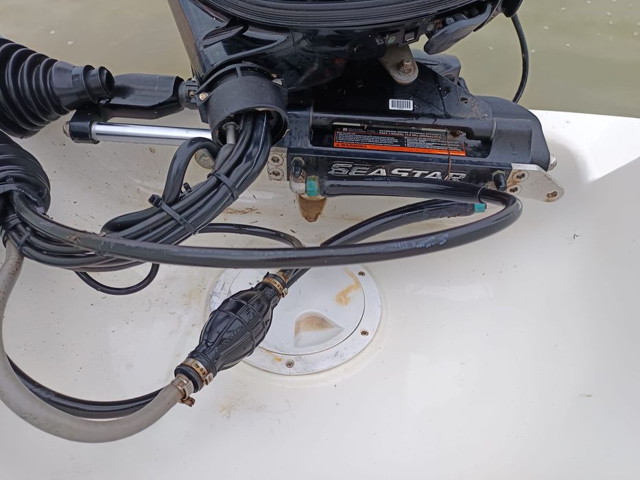 Quiksilver 530 com Suzuki DF70