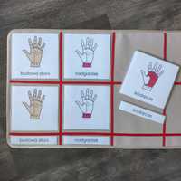 Budowa dłoni karty trójdzielne Montessori