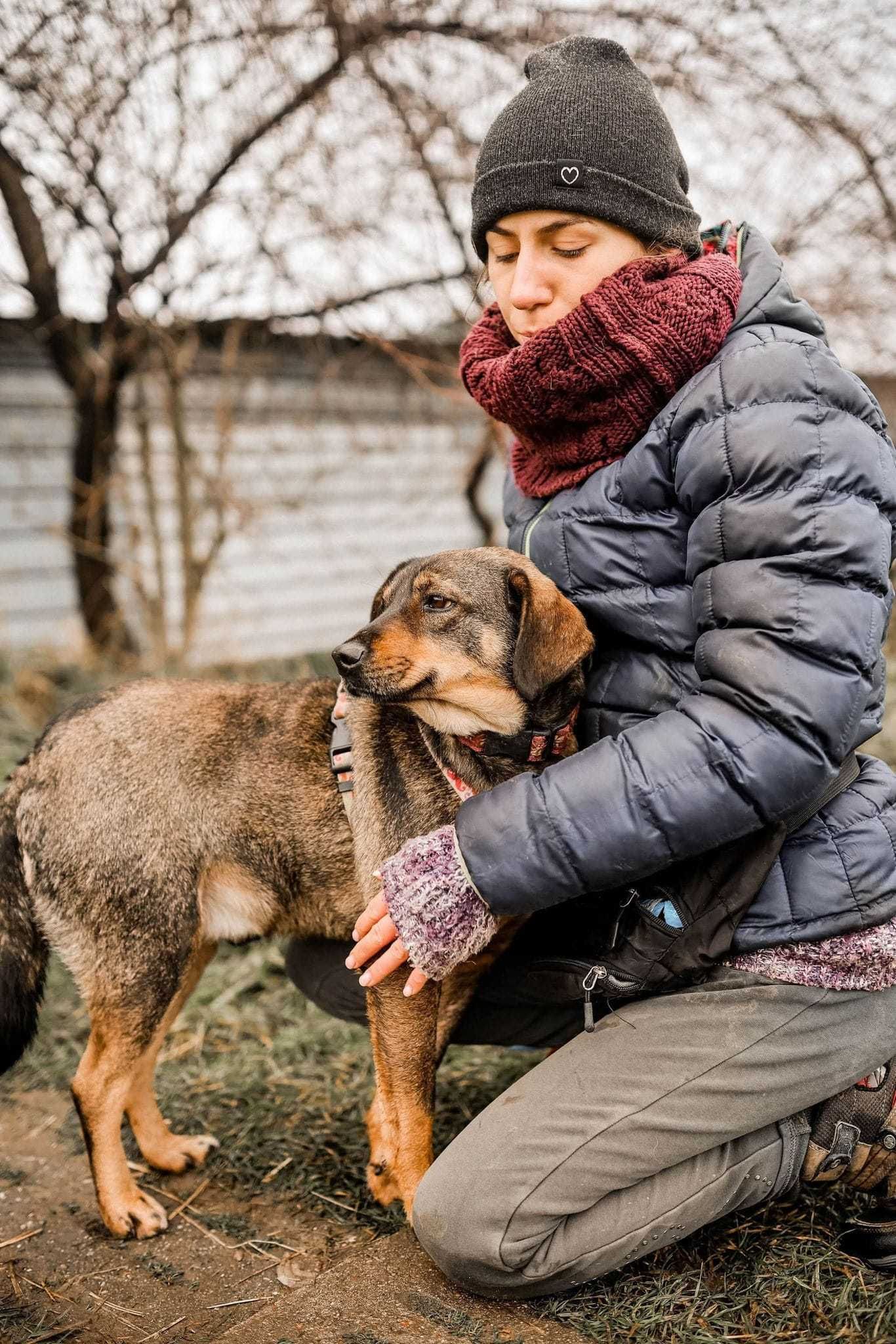 Szaruś - pokoloruj jego świat ADOPCJA młodego psiaka