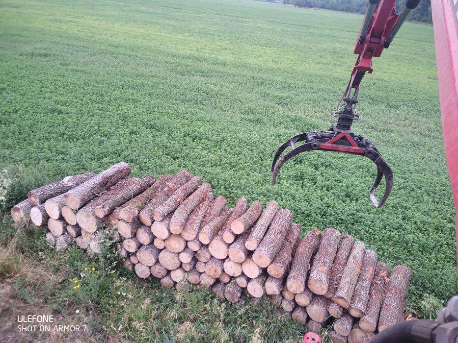 Drewno kominkowe opałowe sosna buk jesion dąb olcha grab transport !!!