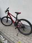 Rower Giant Revel rama S