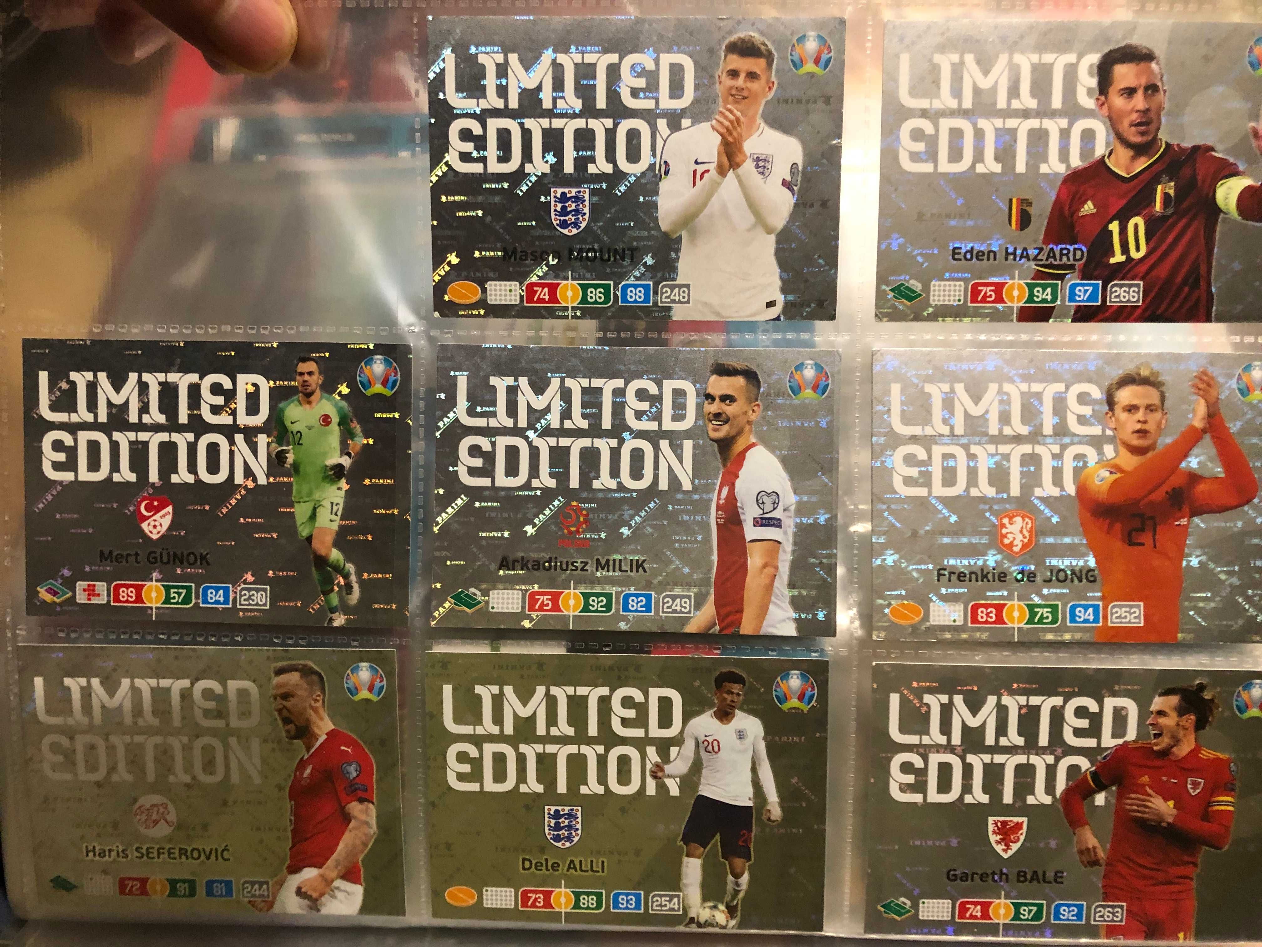 Zestaw albumów Panini FIFA 365+inne karty kolekcjonerskie pokemon, itp