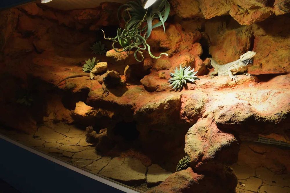 Terrarium na wymiar!