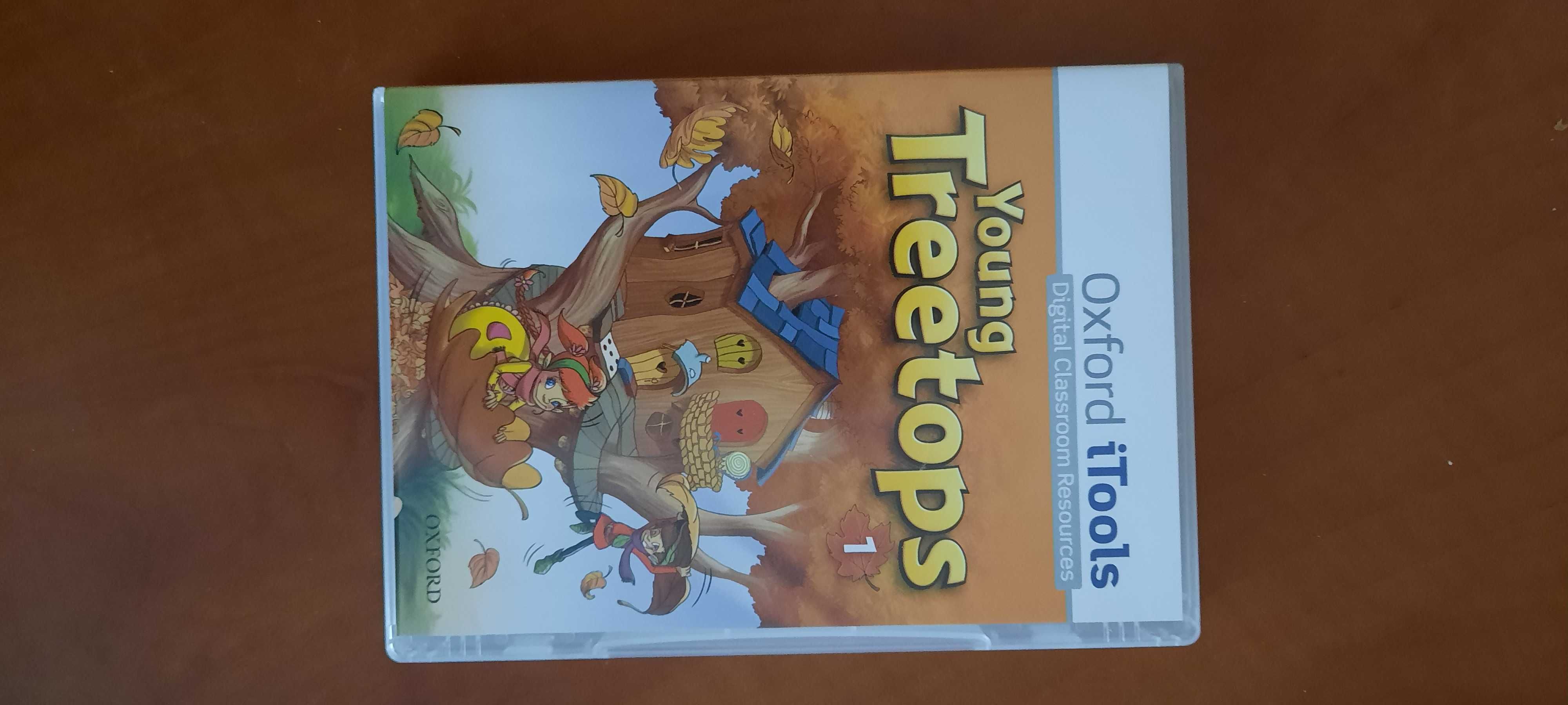 Young Treetops angielski klasa 1-3 karty obrazkowe płyty dvd