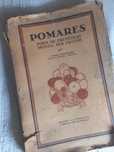 Pomares Poda das Fruteiras e Monda dos Frutos Vieira Natividade