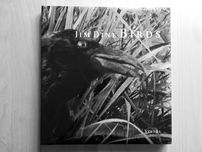 Jim Dine "Birds"