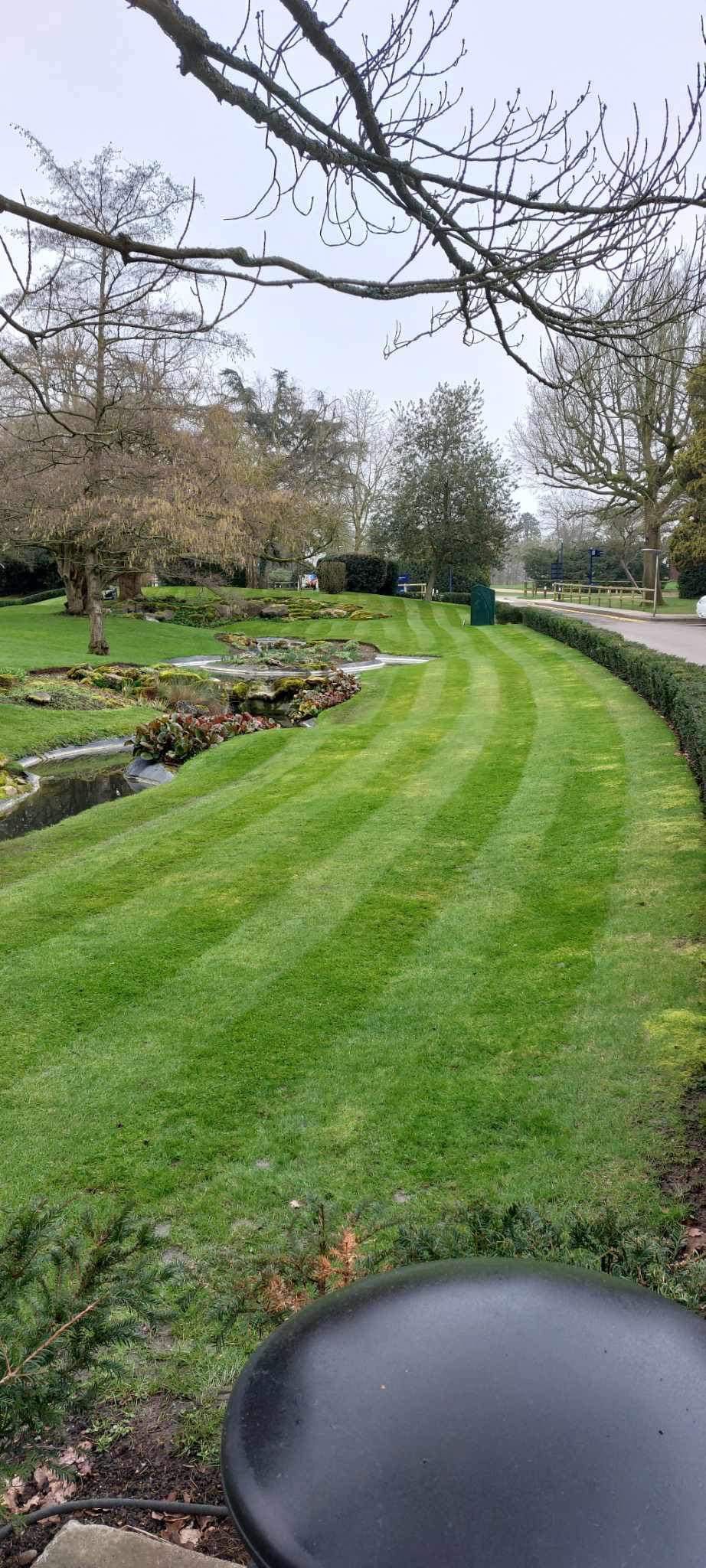 Serviços de jardinagem