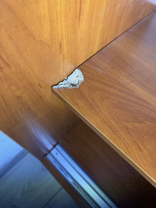 Шкаф-купе с матовыми стеклянными дверцами и красивым рисунком