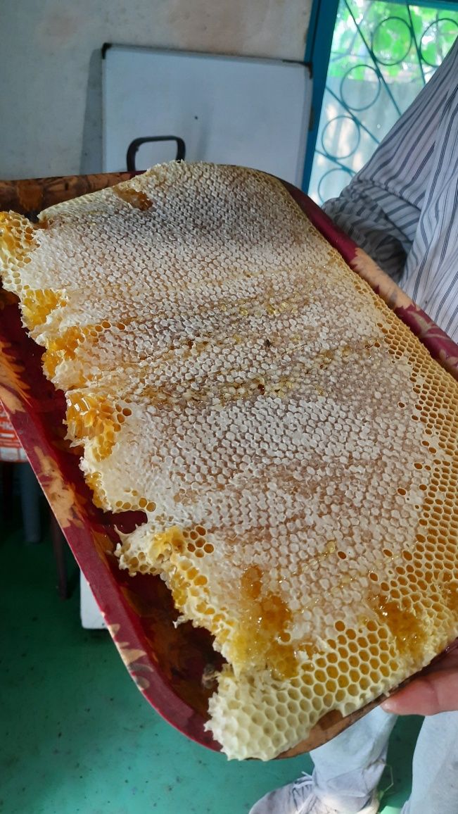 Продаются пчелиные семьи конец апреля цена договорная