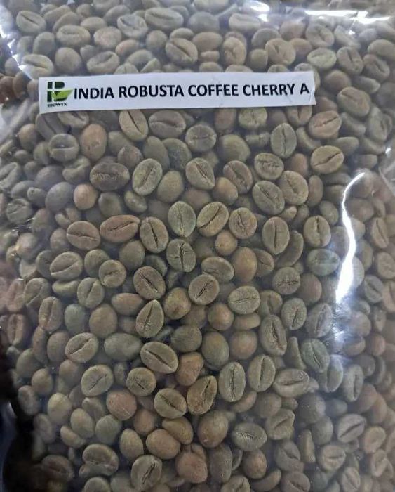 Зелена кава в зернах робуста "India Cherry" | INDIA ROBUSTA CHERRY A