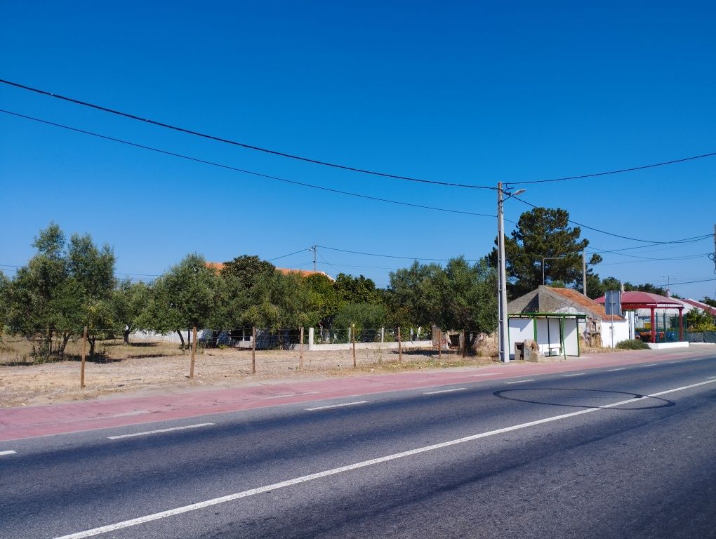 Terrenos para alugar em Grândola