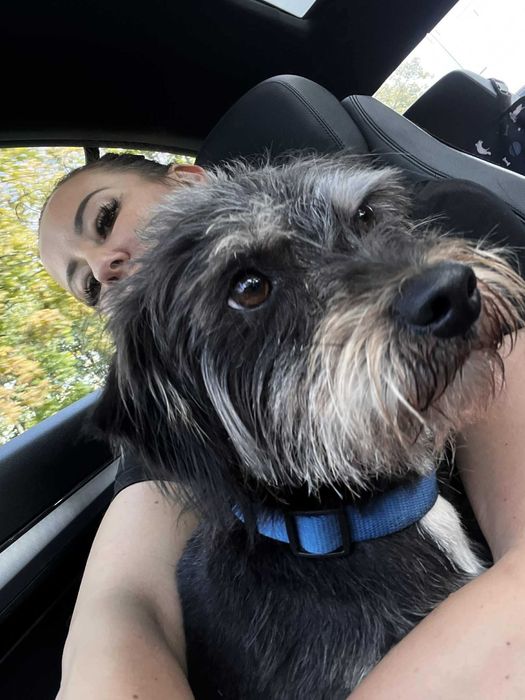 Do pilnej ADOPCJI !! Filip