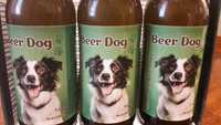 Пиво для собак здоровье питомца