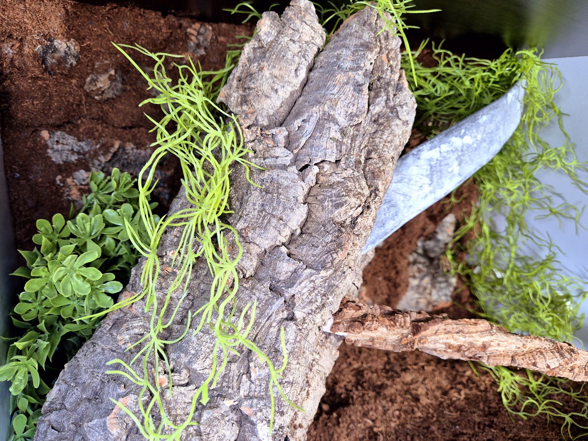 Terrarium 60x40x40 gekon wąż  wysylka