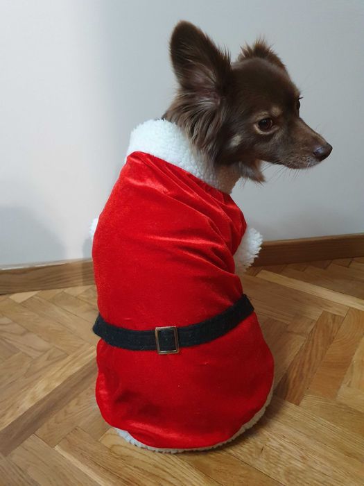 Ubranko mikołaja dla psa