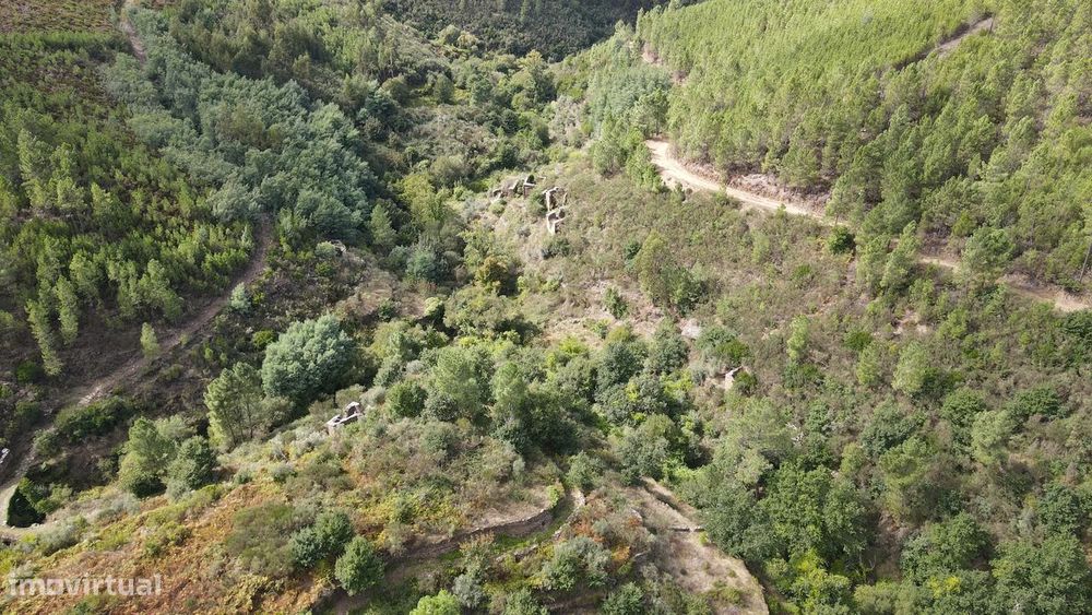 Quinta com várias construções em Seia