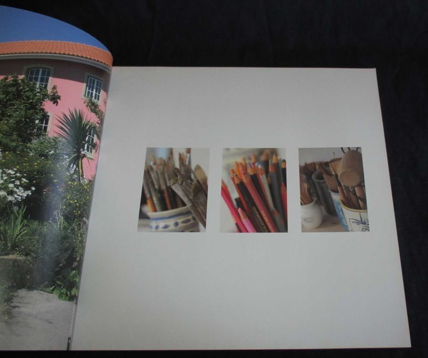 Livro Francisco Simões Escultura Desenho Cerâmica