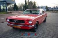 Ford Mustang Klasyczny Ford Mustang 1966r USA 3.3 R6 120KM Klasyk odrestaurowany
