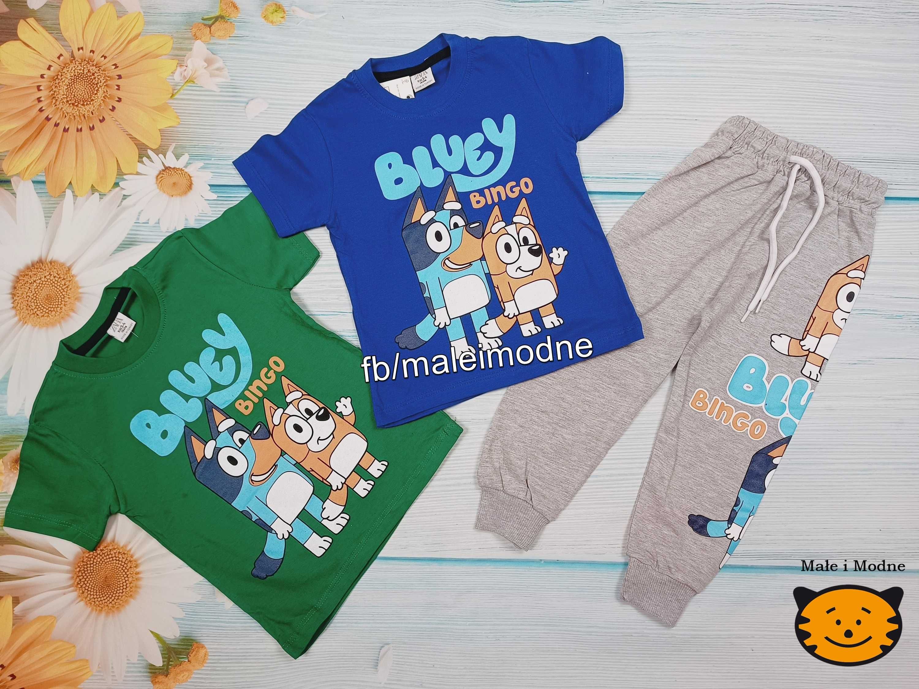 Bluzka Bluey T-shirt Bluey 98/104/110/116/122/128