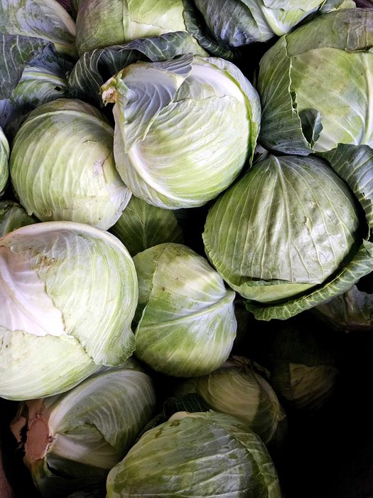 Sprzedam kapuste biała czerwona