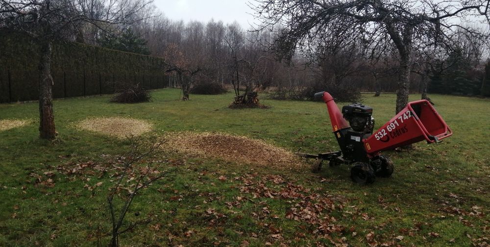 Wycinka drzew mielenie Sprzątanie dzialek