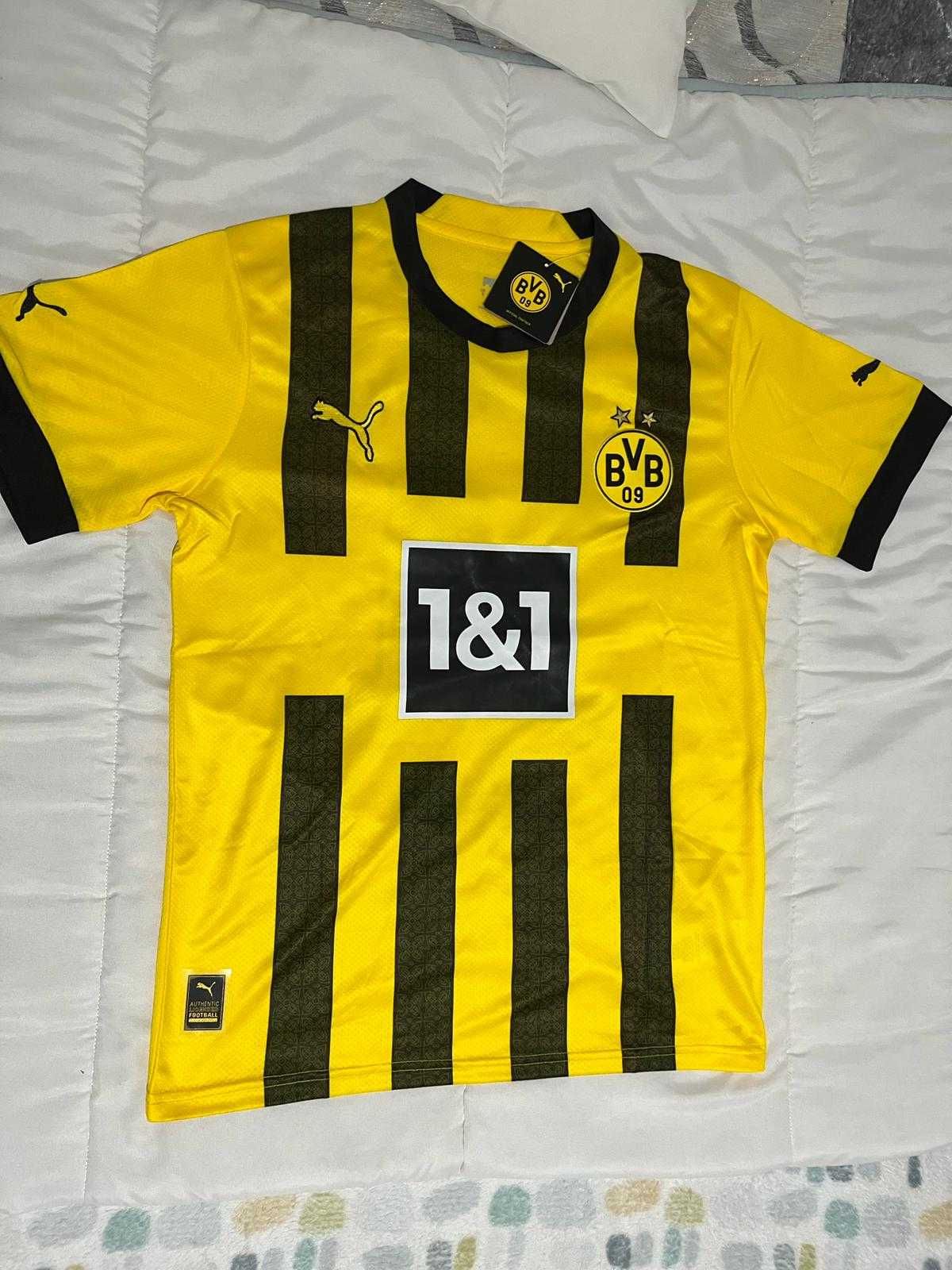 Dortmund Reus 11
