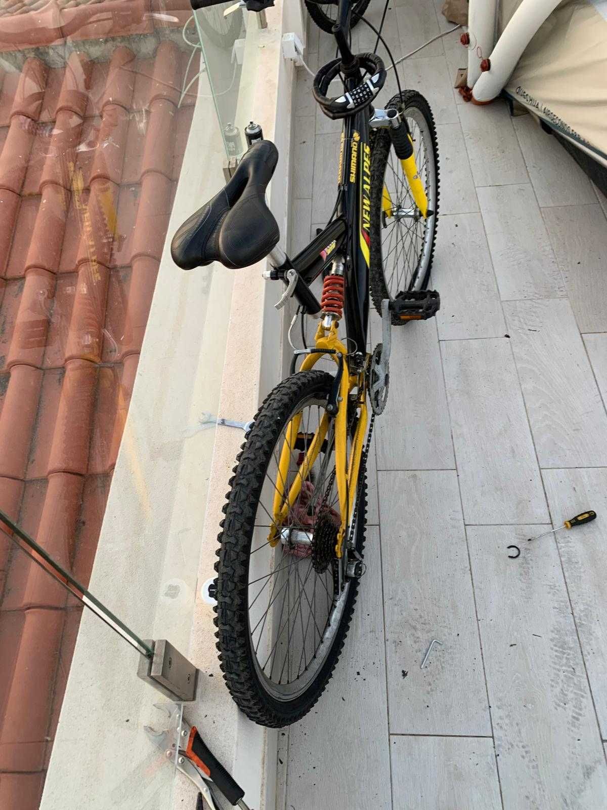 Bicicleta Adulto
