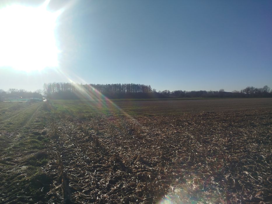 Sprzedam grunt w miejscowości Bogdaszowice