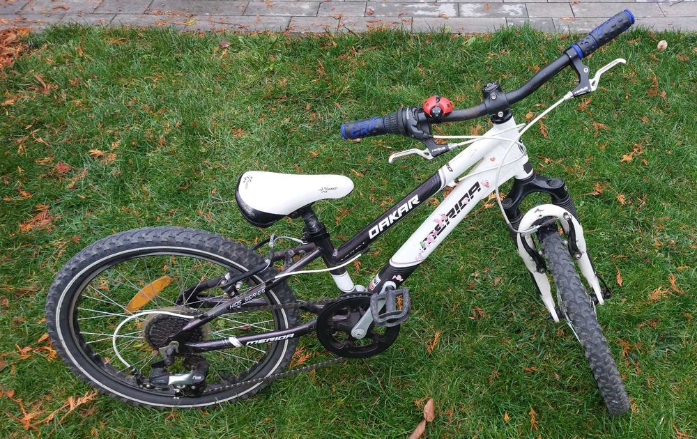 Rower dziecięcy Merdia Dakar 620 koła 20"