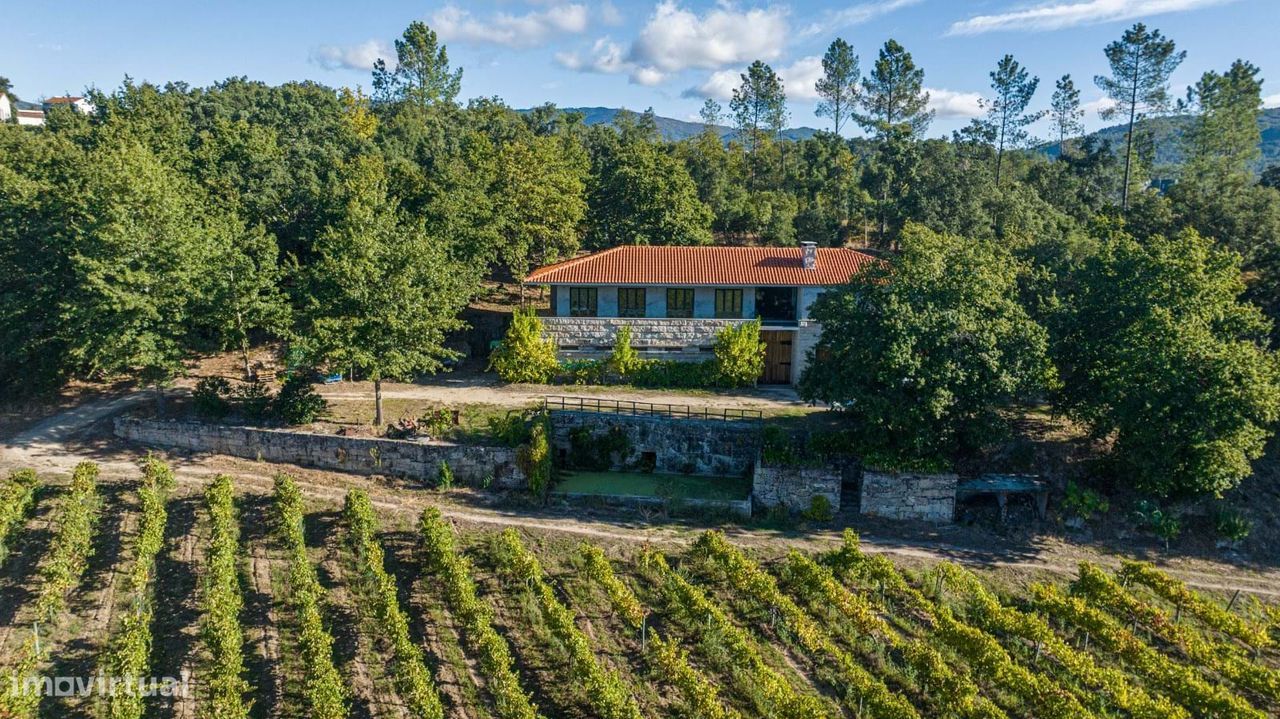 Quinta no Minho com produção de vinho verde, Cabeceiras Basto
