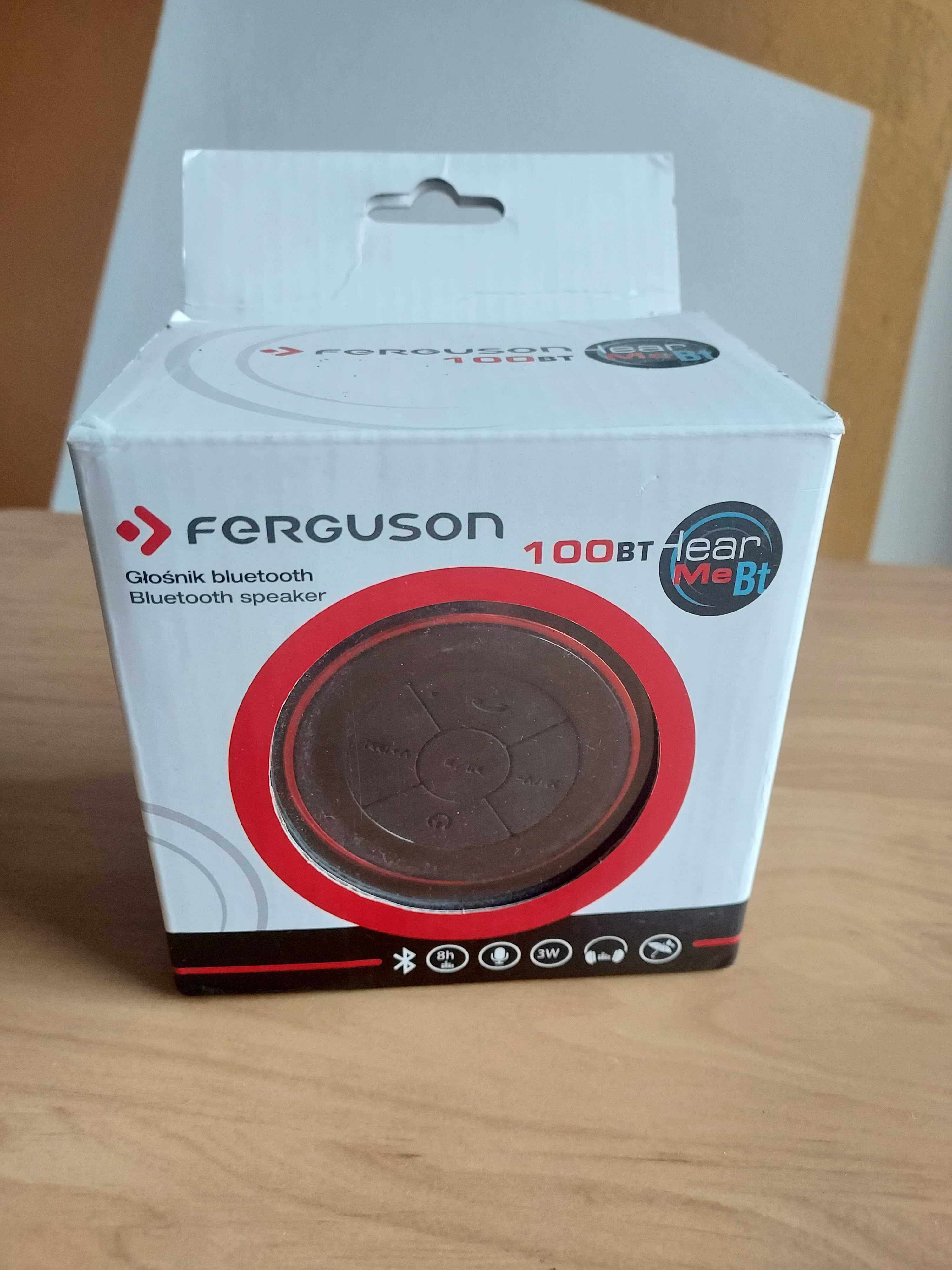 Głośnik bluetooth- Ferguson 100BT