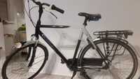 Para rowerów Gazelle limited edition