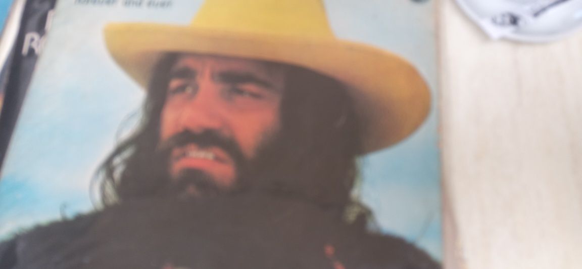 Coleção de 8 discos de vinil do grande artista já falecido Demis ro