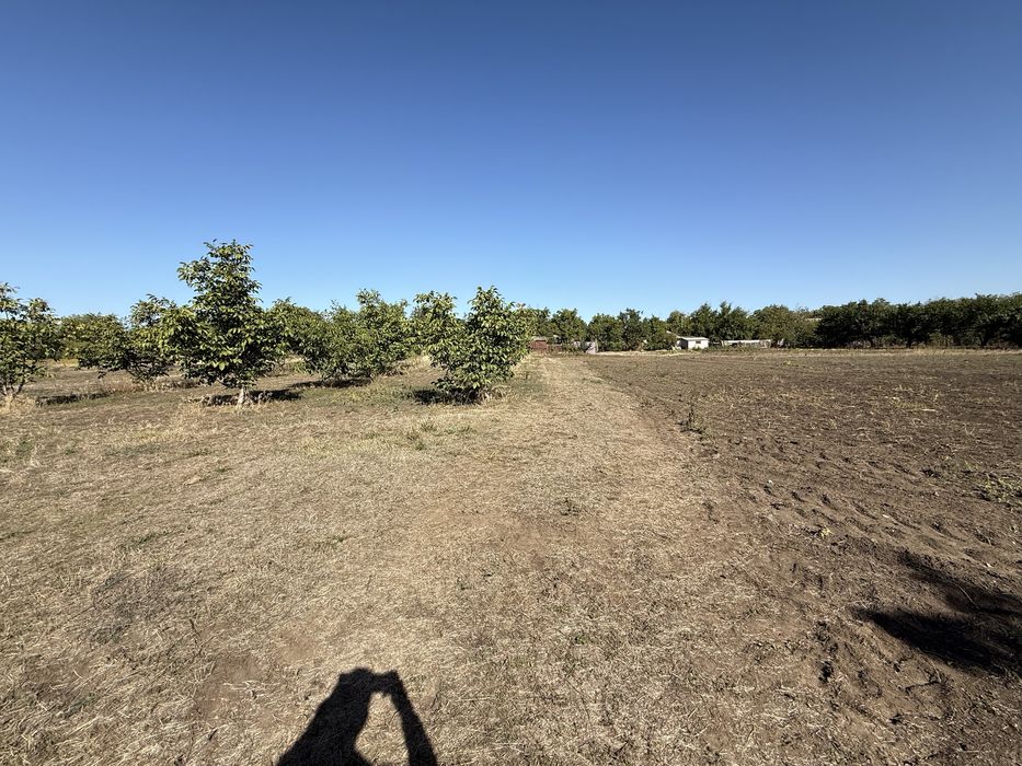 Продаж будинку, село Лепетиха, Баштанський район