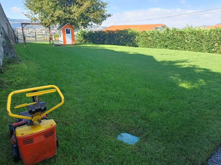 Serviços de jardinagem