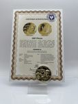 Medal ORP Piorun - otoLombard Lumik Sieradz
