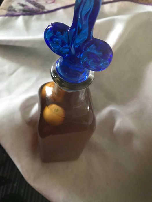 Physalis naturais  /Arbusto para plantar / LICOR/ Doce/