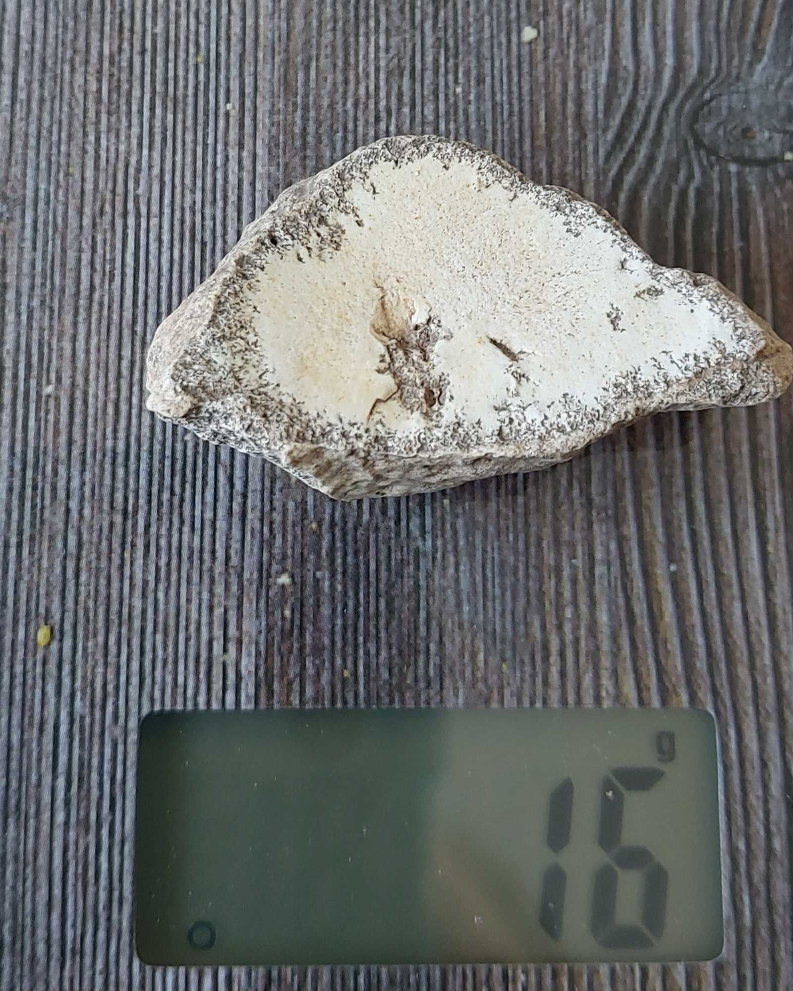 Dendrite Rock, Dendritik rock